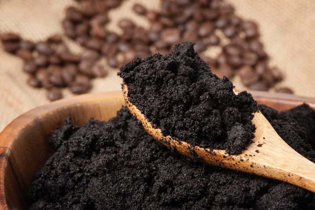 Can You Reuse Coffee Grounds How Many Times Coffeenatics   Can You Reuse Coffee Grounds 1024x683 