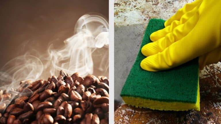 What To Do With Old Coffee Beans? 10 Incredible Ways to Repurpose ...