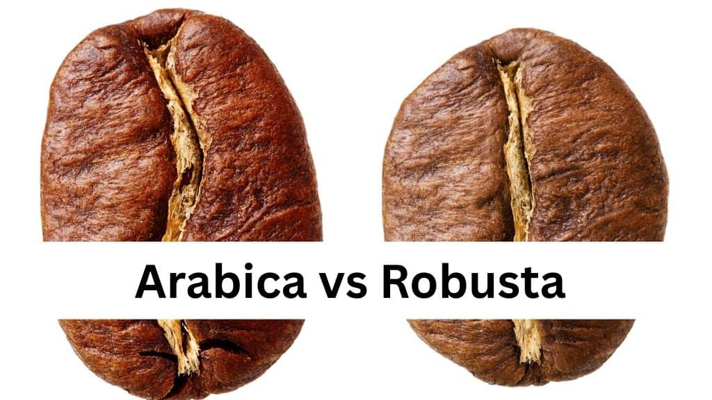 Arabica vs Robusta